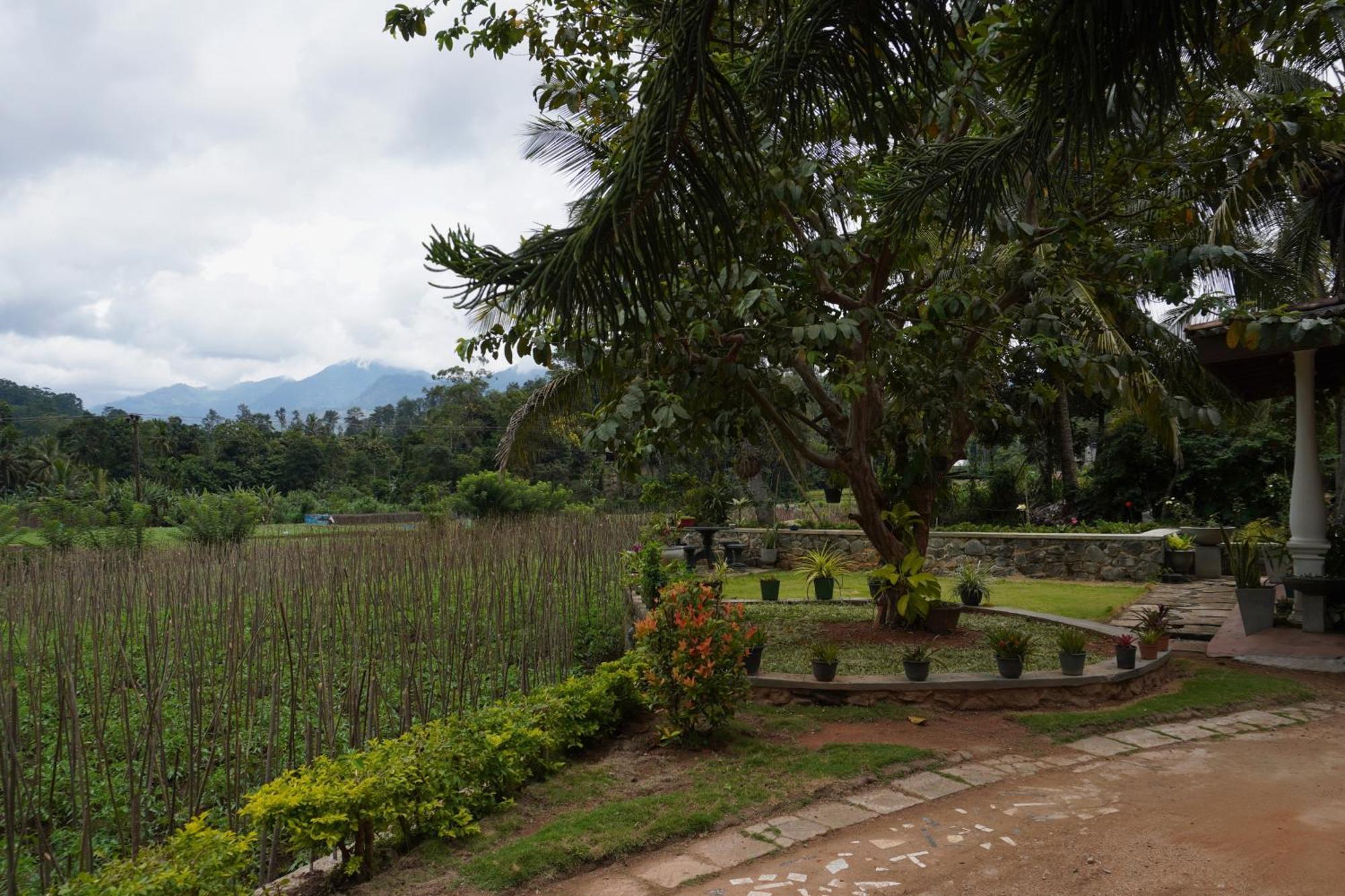 Ella Nature Valley Homestay ภายนอก รูปภาพ