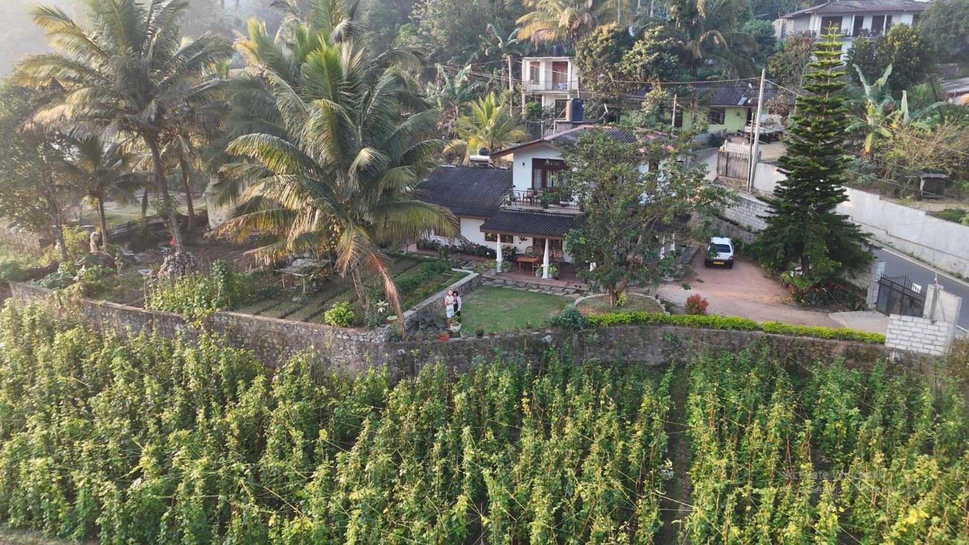 Ella Nature Valley Homestay ภายนอก รูปภาพ