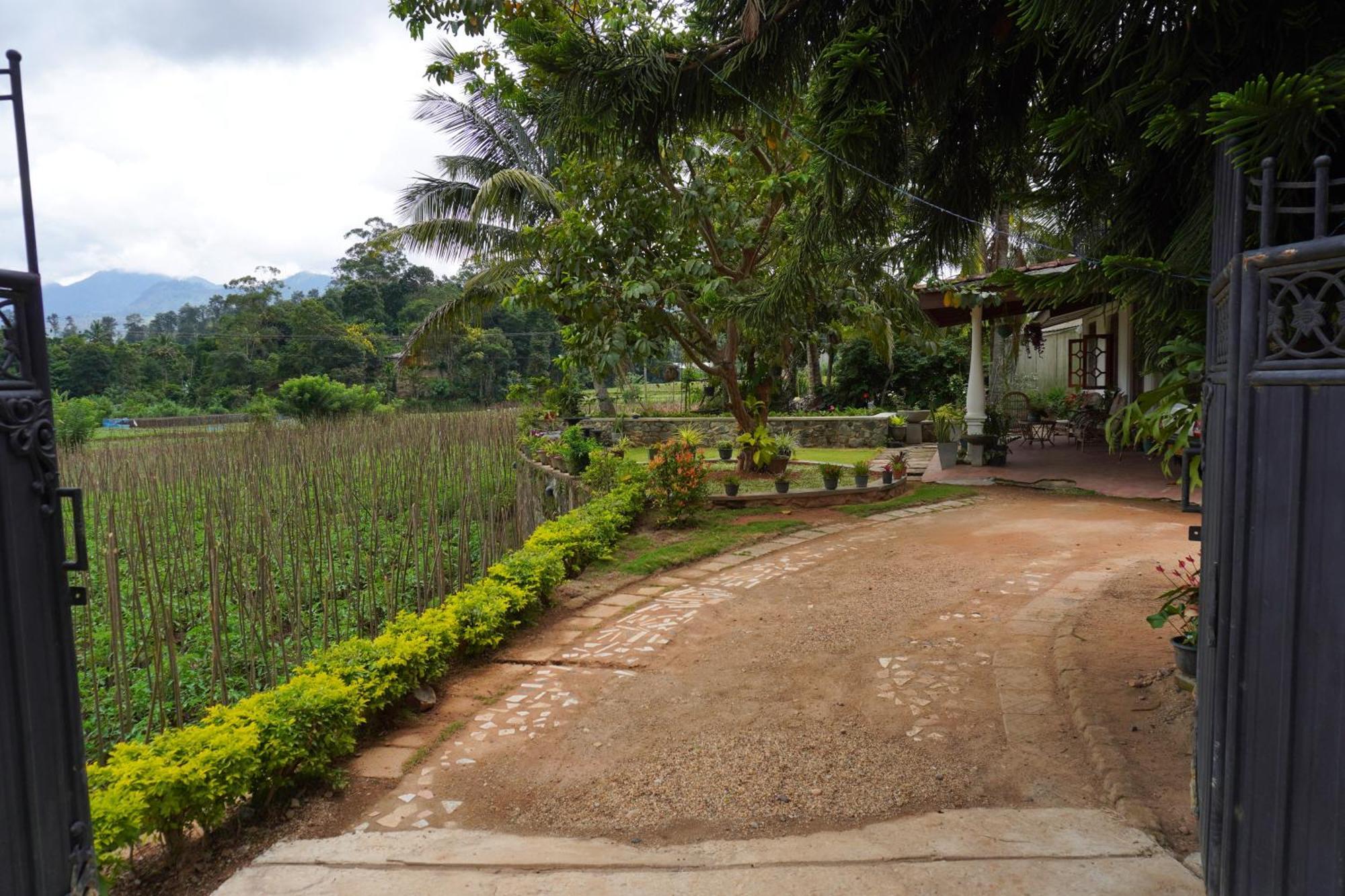Ella Nature Valley Homestay ภายนอก รูปภาพ