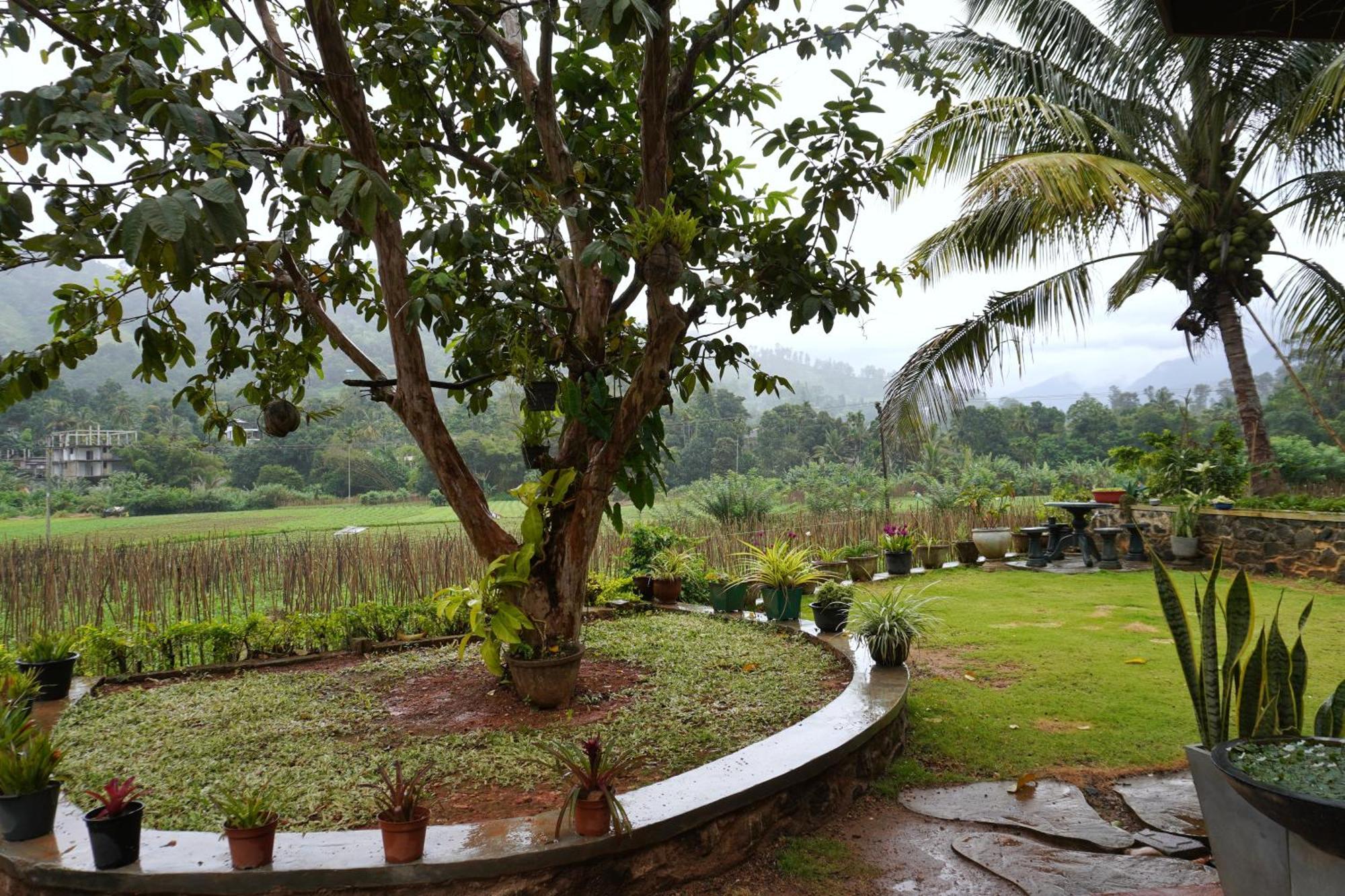 Ella Nature Valley Homestay ภายนอก รูปภาพ