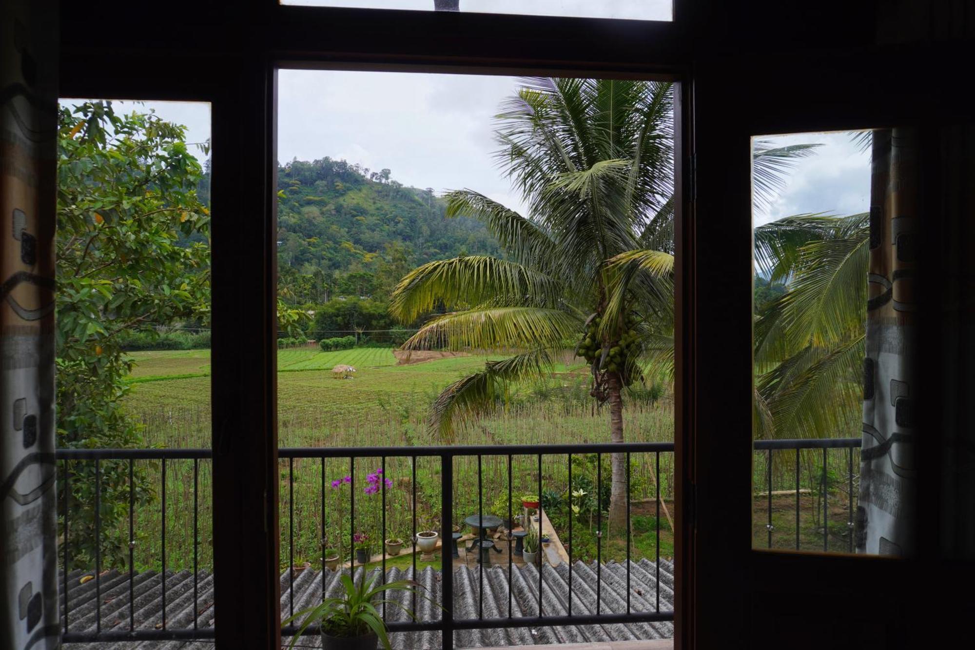 Ella Nature Valley Homestay ภายนอก รูปภาพ