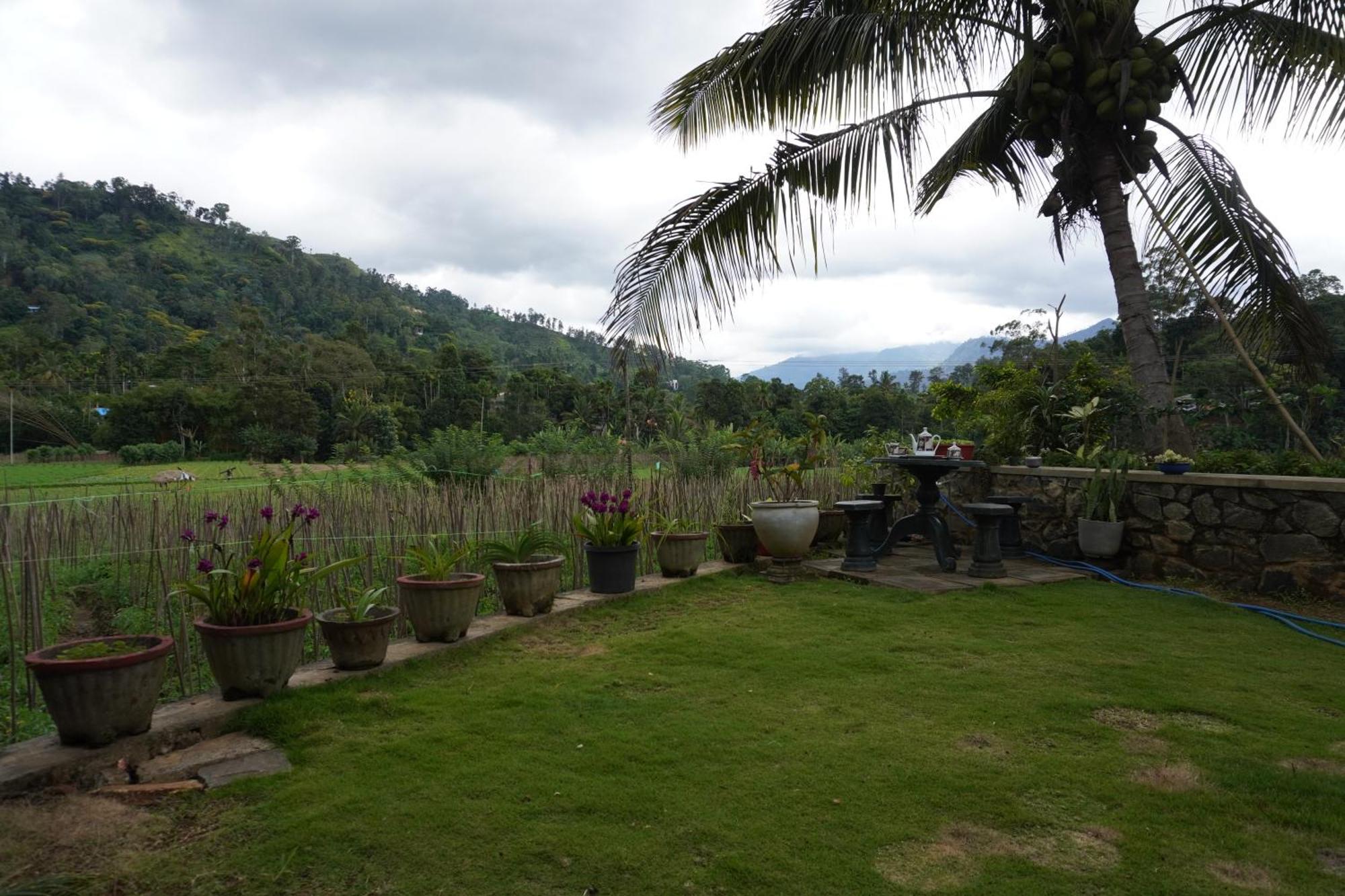Ella Nature Valley Homestay ภายนอก รูปภาพ