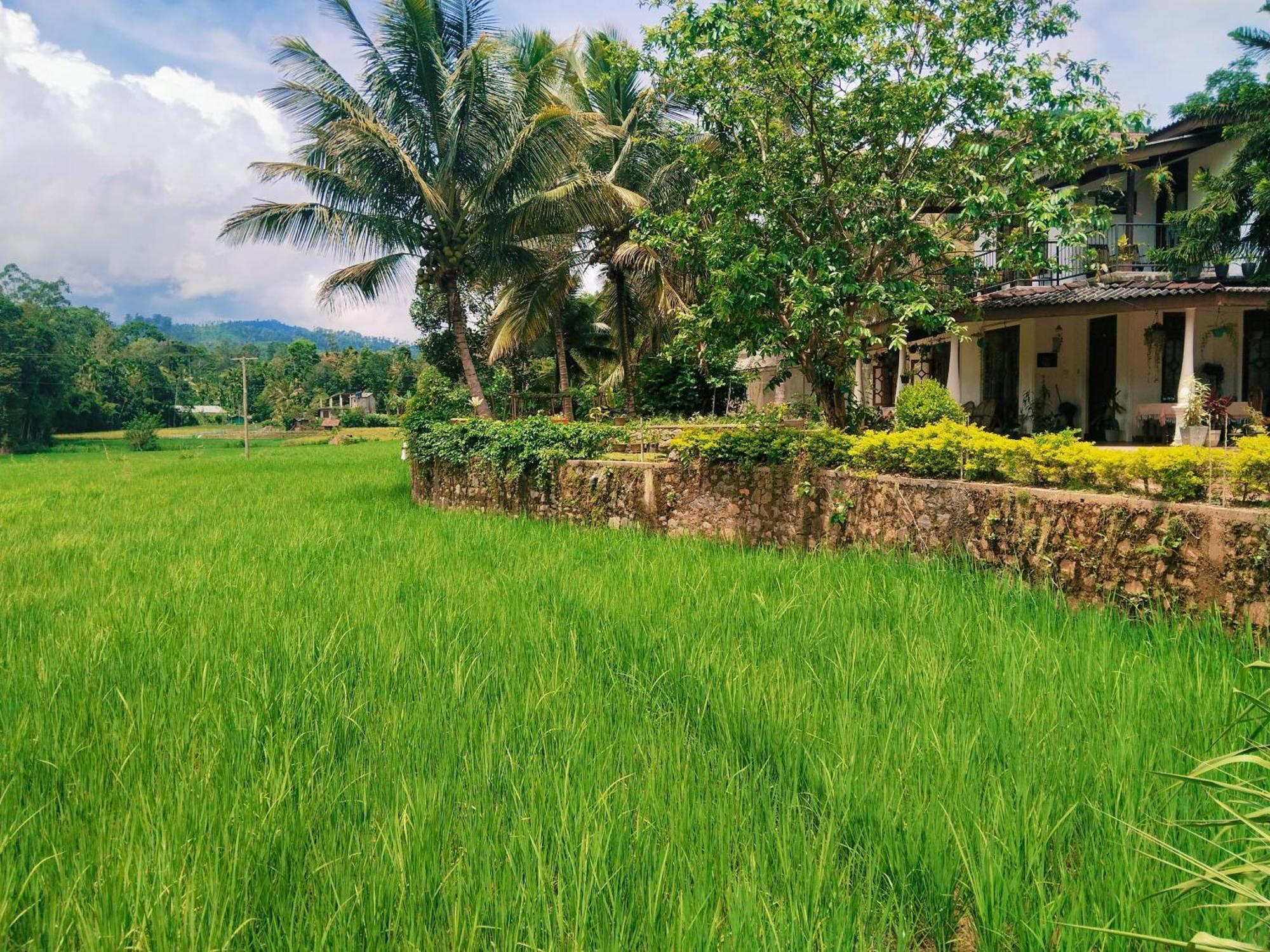 Ella Nature Valley Homestay ภายนอก รูปภาพ