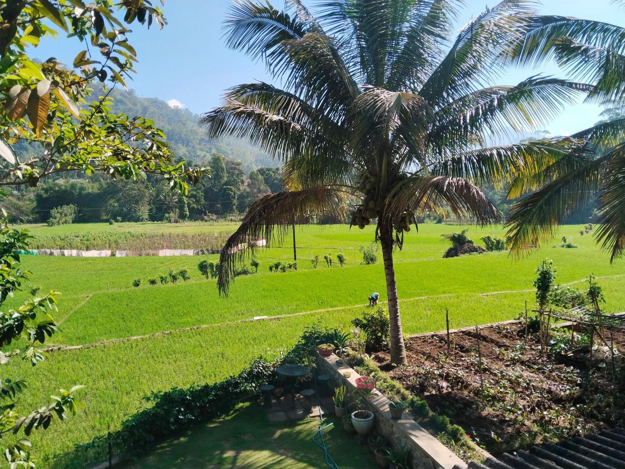 Ella Nature Valley Homestay ภายนอก รูปภาพ