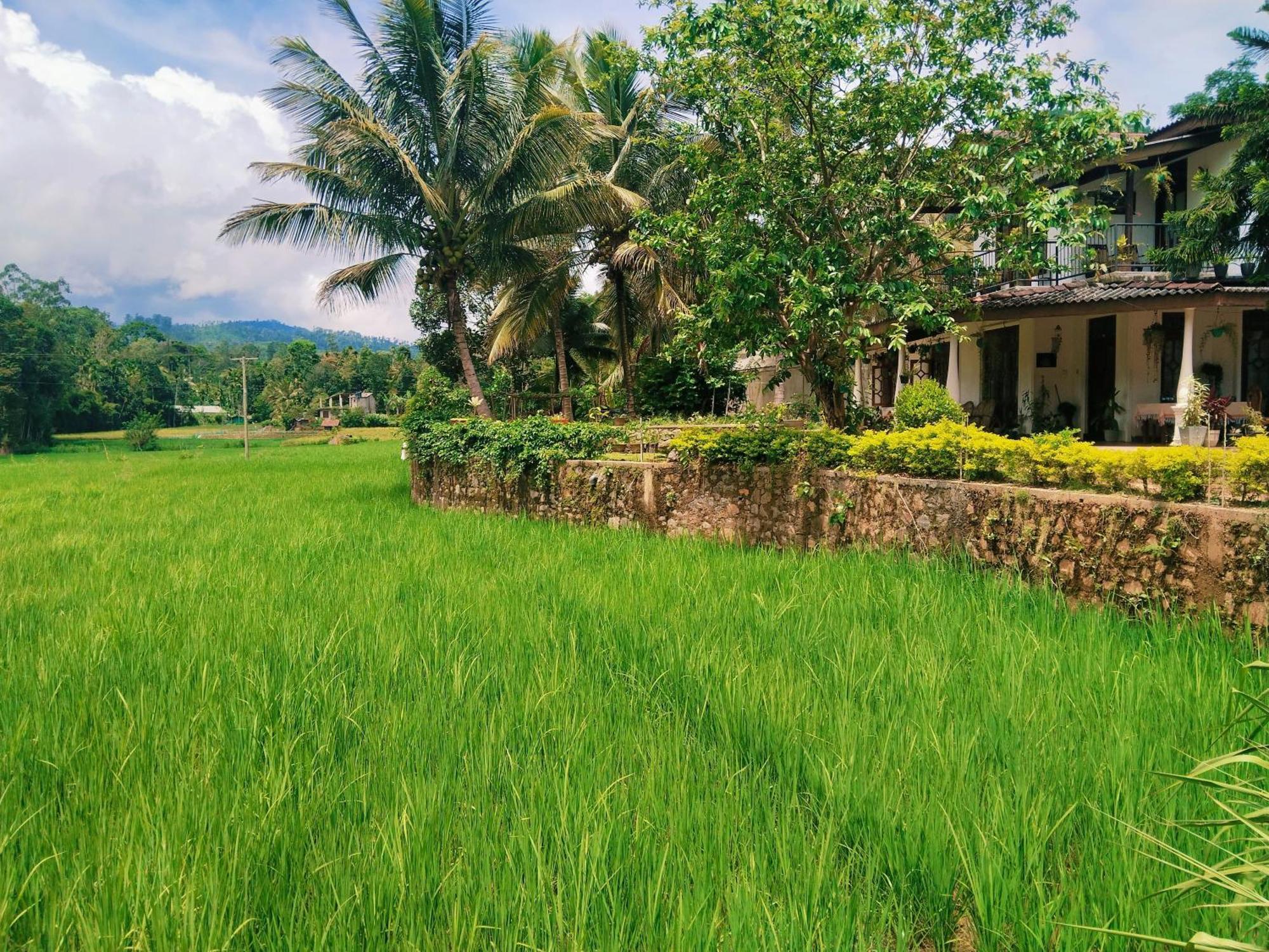 Ella Nature Valley Homestay ภายนอก รูปภาพ